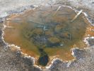 Yellowstone