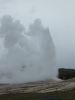 Yellowstone