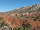 Dinosaur NM