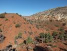 Dinosaur NM