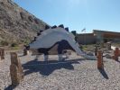 Dinosaur NM