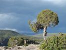 Black Canyon of the Gunnison