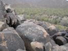 Saguaro NP