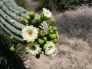 Apache Trail