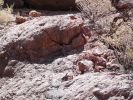Goldstrike Canyon