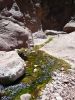 Goldstrike Canyon