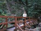 Muir Woods