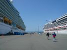 Mariner of the Seas
