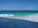 Florida_2011_(218).jpg