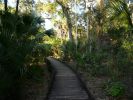 Juniper Springs, Florida