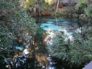 Juniper Springs, Florida