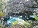 Juniper Springs, Florida