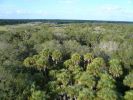 Myakka River SP, Florida