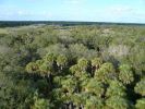 Myakka River SP, Florida