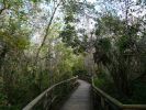 Fakahatchee Strand Preserve