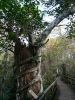 Fakahatchee Strand Preserve