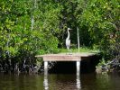 Everglades NP