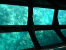 Glass Bottom Boat Tour John Pennekamp Coral Reef