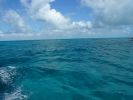 Glass Bottom Boat Tour John Pennekamp Coral Reef