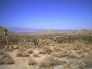 Joshua Tree NP