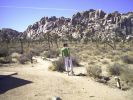 Joshua Tree NP