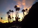 Palm Springs