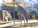 San Diego Zoo