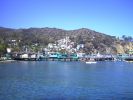 Santa Catalina Island