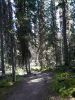 Lake Louise - Fairview Trail