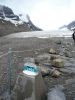 Athabasca Glacier