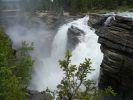 Jasper NP