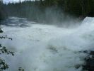 Wells Gray 