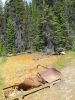 Kootenay NP