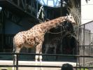 Calgary Zoo