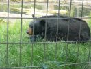 Calgary Zoo