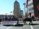 Calgary Stampede Parade