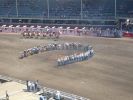 Calgary Stampede Rodeo