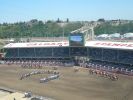 Calgary Stampede Rodeo