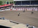 Calgary Stampede Rodeo