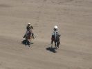 Calgary Stampede Rodeo