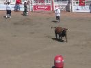 Calgary Stampede Rodeo