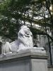 New_York_2008_138.jpg