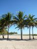 Miami Beach
