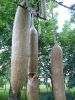 Fruit and Spice Park