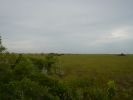 Everglades NP