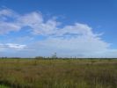 Everglades NP