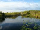 Everglades NP
