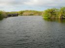 Everglades NP