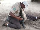 Gatorland
