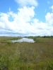 Everglades NP